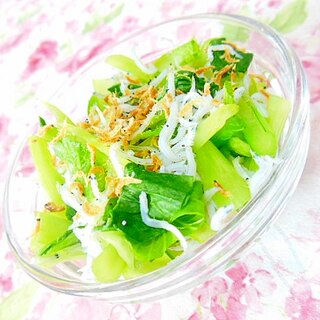 ❤小松菜と桜海老としらすのとりあえず❤